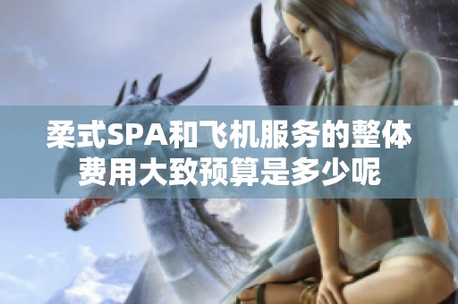 柔式SPA和飞机服务的整体费用大致预算是多少呢
