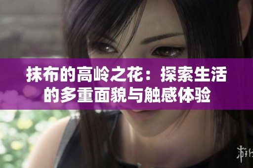 抹布的高岭之花：探索生活的多重面貌与触感体验