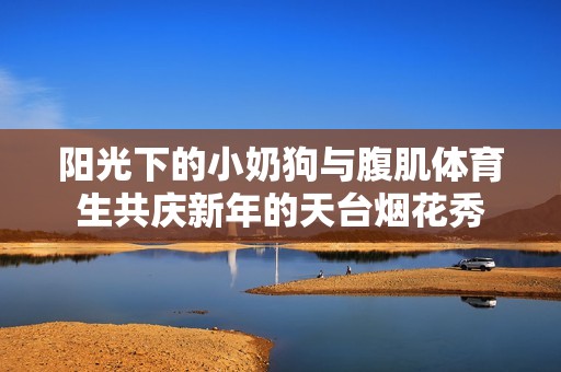 阳光下的小奶狗与腹肌体育生共庆新年的天台烟花秀