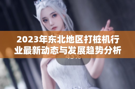 2023年东北地区打桩机行业最新动态与发展趋势分析