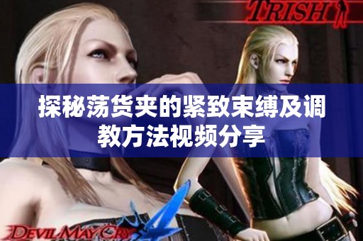 探秘荡货夹的紧致束缚及调教方法视频分享