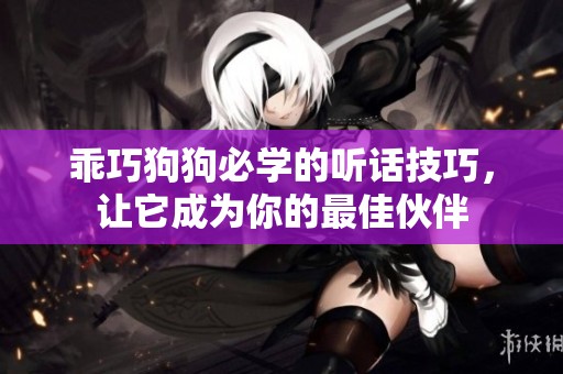 乖巧狗狗必学的听话技巧，让它成为你的最佳伙伴