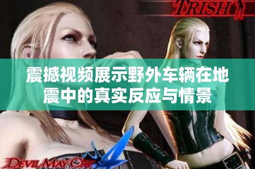 震撼视频展示野外车辆在地震中的真实反应与情景