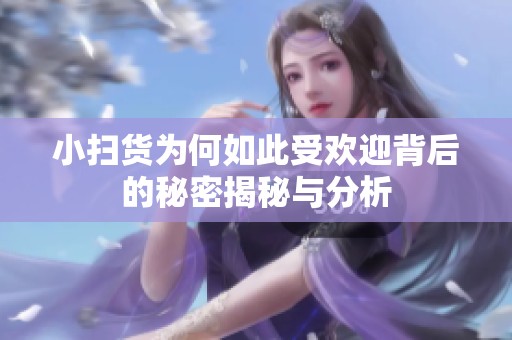 小扫货为何如此受欢迎背后的秘密揭秘与分析