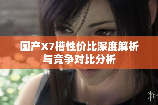 国产X7槽性价比深度解析与竞争对比分析