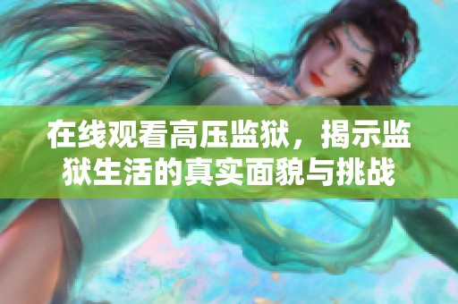 在线观看高压监狱，揭示监狱生活的真实面貌与挑战