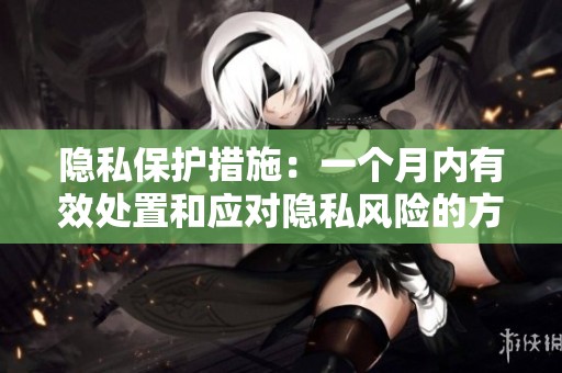 隐私保护措施：一个月内有效处置和应对隐私风险的方法