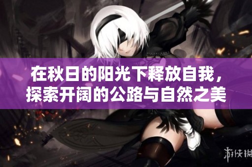 在秋日的阳光下释放自我，探索开阔的公路与自然之美