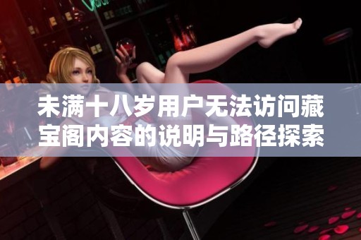 未满十八岁用户无法访问藏宝阁内容的说明与路径探索