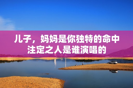 儿子，妈妈是你独特的命中注定之人是谁演唱的