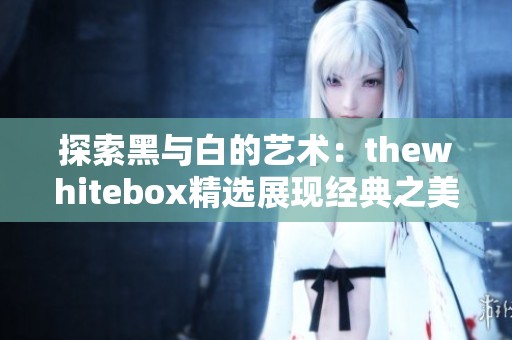 探索黑与白的艺术：thewhitebox精选展现经典之美
