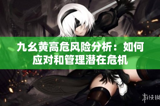 九幺黄高危风险分析：如何应对和管理潜在危机