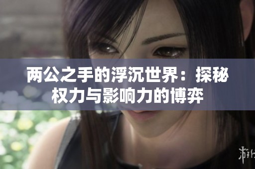两公之手的浮沉世界：探秘权力与影响力的博弈