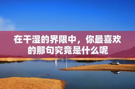 在干湿的界限中，你最喜欢的那句究竟是什么呢