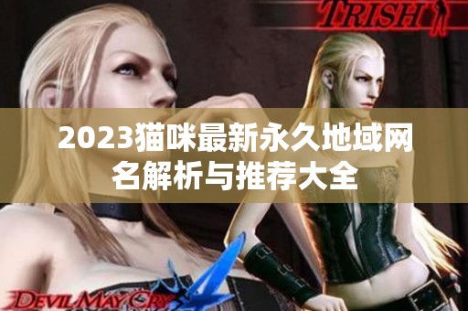 2023猫咪最新永久地域网名解析与推荐大全