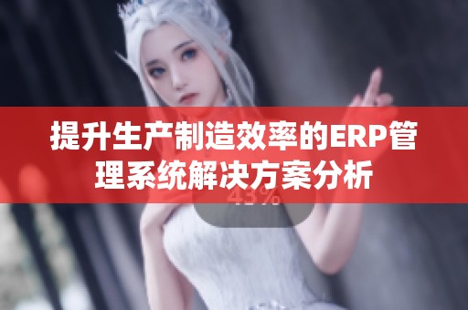 提升生产制造效率的ERP管理系统解决方案分析