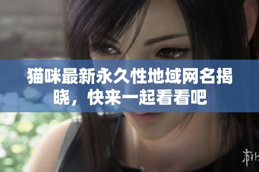 猫咪最新永久性地域网名揭晓，快来一起看看吧