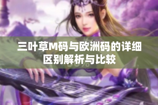 三叶草M码与欧洲码的详细区别解析与比较