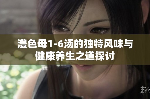 澧色母1-6汤的独特风味与健康养生之道探讨