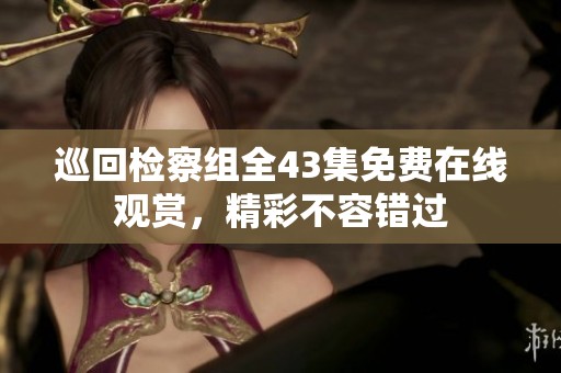 巡回检察组全43集免费在线观赏，精彩不容错过