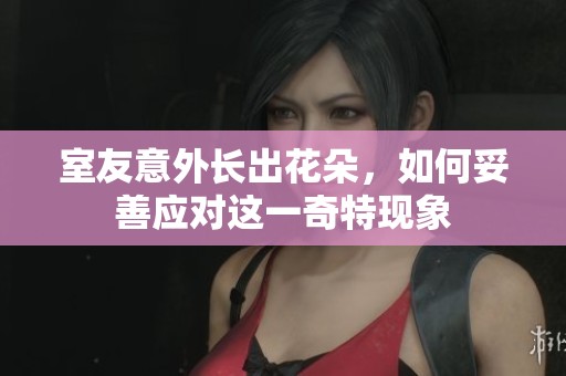 室友意外长出花朵，如何妥善应对这一奇特现象