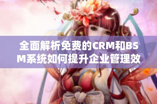 全面解析免费的CRM和BSM系统如何提升企业管理效率
