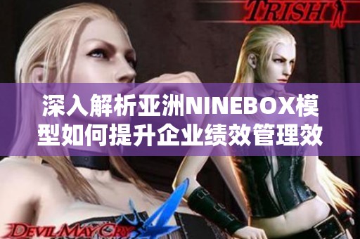 深入解析亚洲NINEBOX模型如何提升企业绩效管理效果