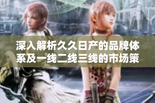 深入解析久久日产的品牌体系及一线二线三线的市场策略