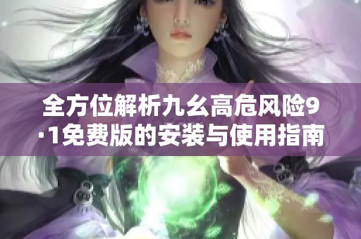 全方位解析九幺高危风险9·1免费版的安装与使用指南