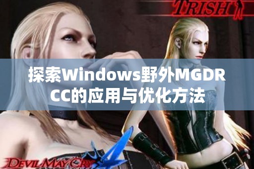 探索Windows野外MGDRCC的应用与优化方法