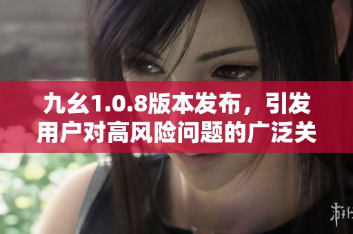 九幺1.0.8版本发布，引发用户对高风险问题的广泛关注