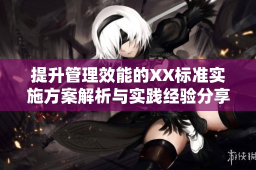 提升管理效能的XX标准实施方案解析与实践经验分享