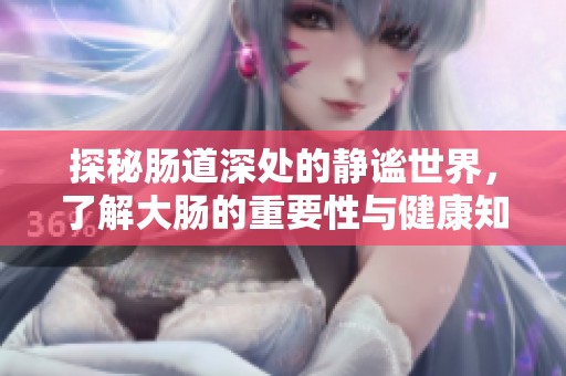 探秘肠道深处的静谧世界，了解大肠的重要性与健康知识