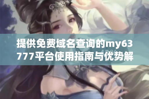 提供免费域名查询的my63777平台使用指南与优势解析