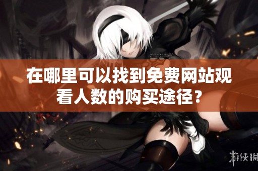 在哪里可以找到免费网站观看人数的购买途径？