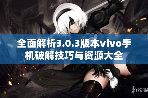全面解析3.0.3版本vivo手机破解技巧与资源大全