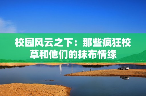 校园风云之下：那些疯狂校草和他们的抹布情缘