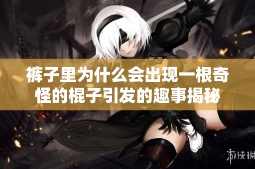 裤子里为什么会出现一根奇怪的棍子引发的趣事揭秘