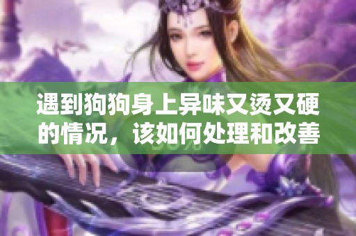 遇到狗狗身上异味又烫又硬的情况，该如何处理和改善