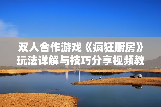 双人合作游戏《疯狂厨房》玩法详解与技巧分享视频教程