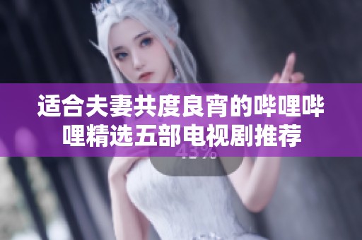 适合夫妻共度良宵的哔哩哔哩精选五部电视剧推荐