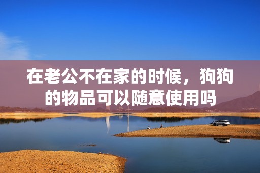 在老公不在家的时候，狗狗的物品可以随意使用吗