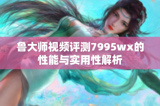 鲁大师视频评测7995wx的性能与实用性解析