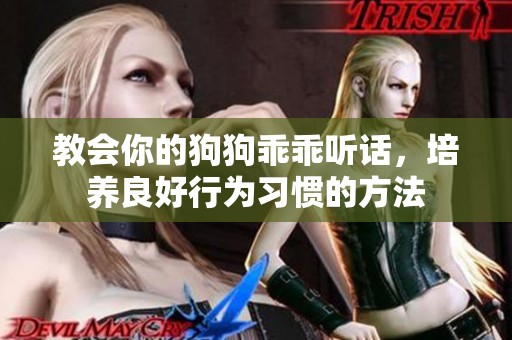 教会你的狗狗乖乖听话，培养良好行为习惯的方法