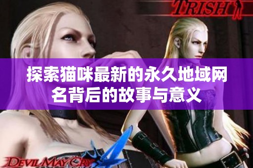 探索猫咪最新的永久地域网名背后的故事与意义