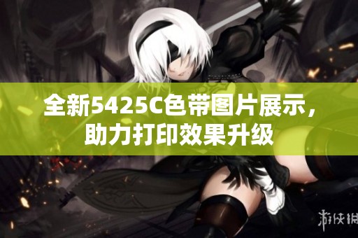 全新5425C色带图片展示，助力打印效果升级