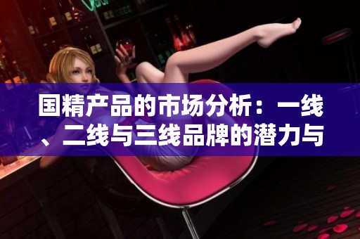 国精产品的市场分析：一线、二线与三线品牌的潜力与发展解读