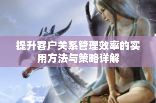提升客户关系管理效率的实用方法与策略详解