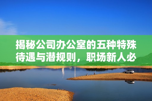 揭秘公司办公室的五种特殊待遇与潜规则，职场新人必看！