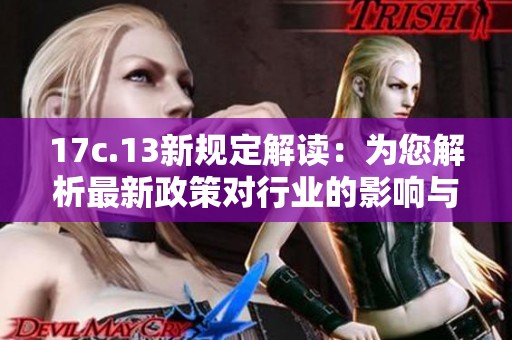 17c.13新规定解读：为您解析最新政策对行业的影响与机遇